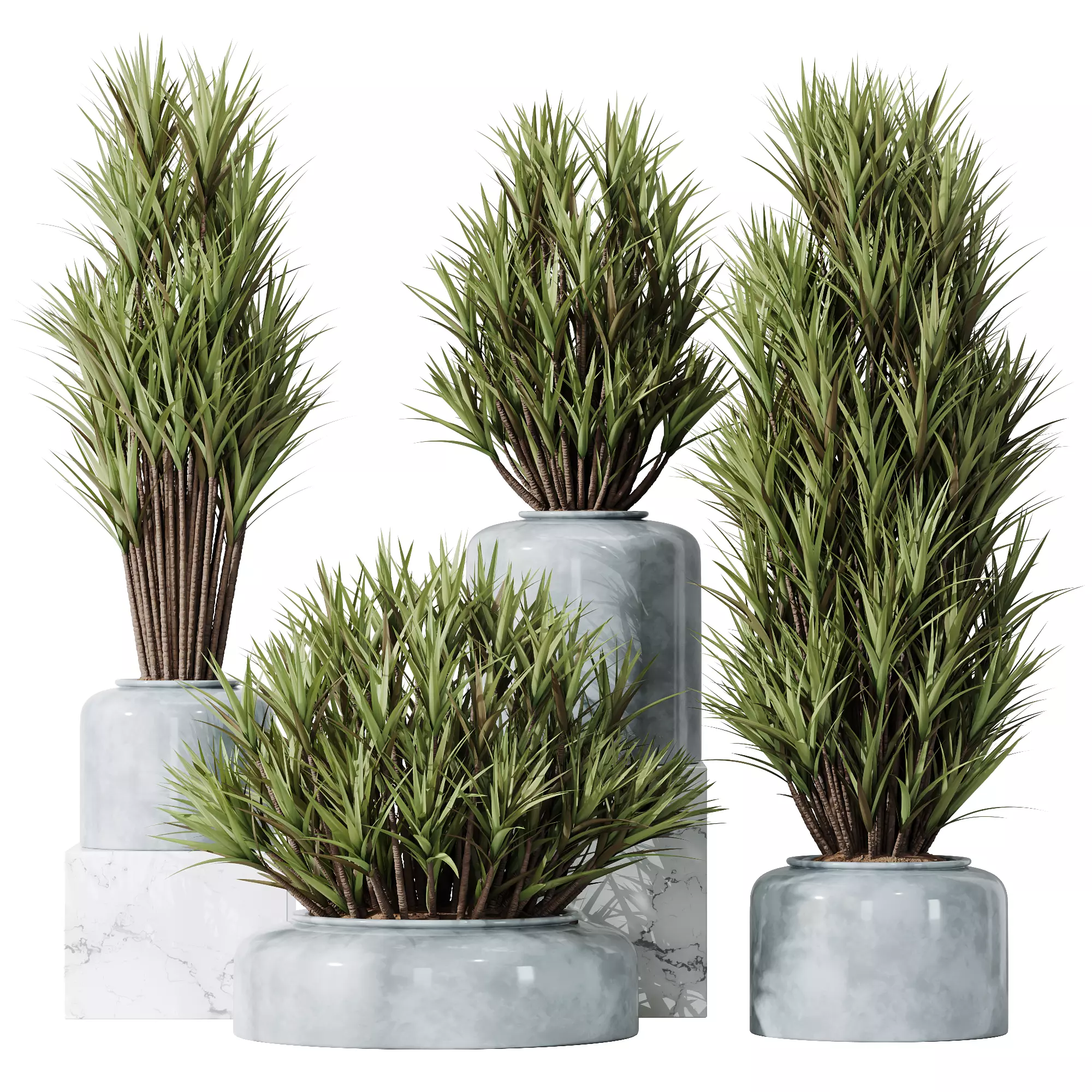 HQ Plants Yucca Elephantipes Gigantea Vase Set05 3D model_0