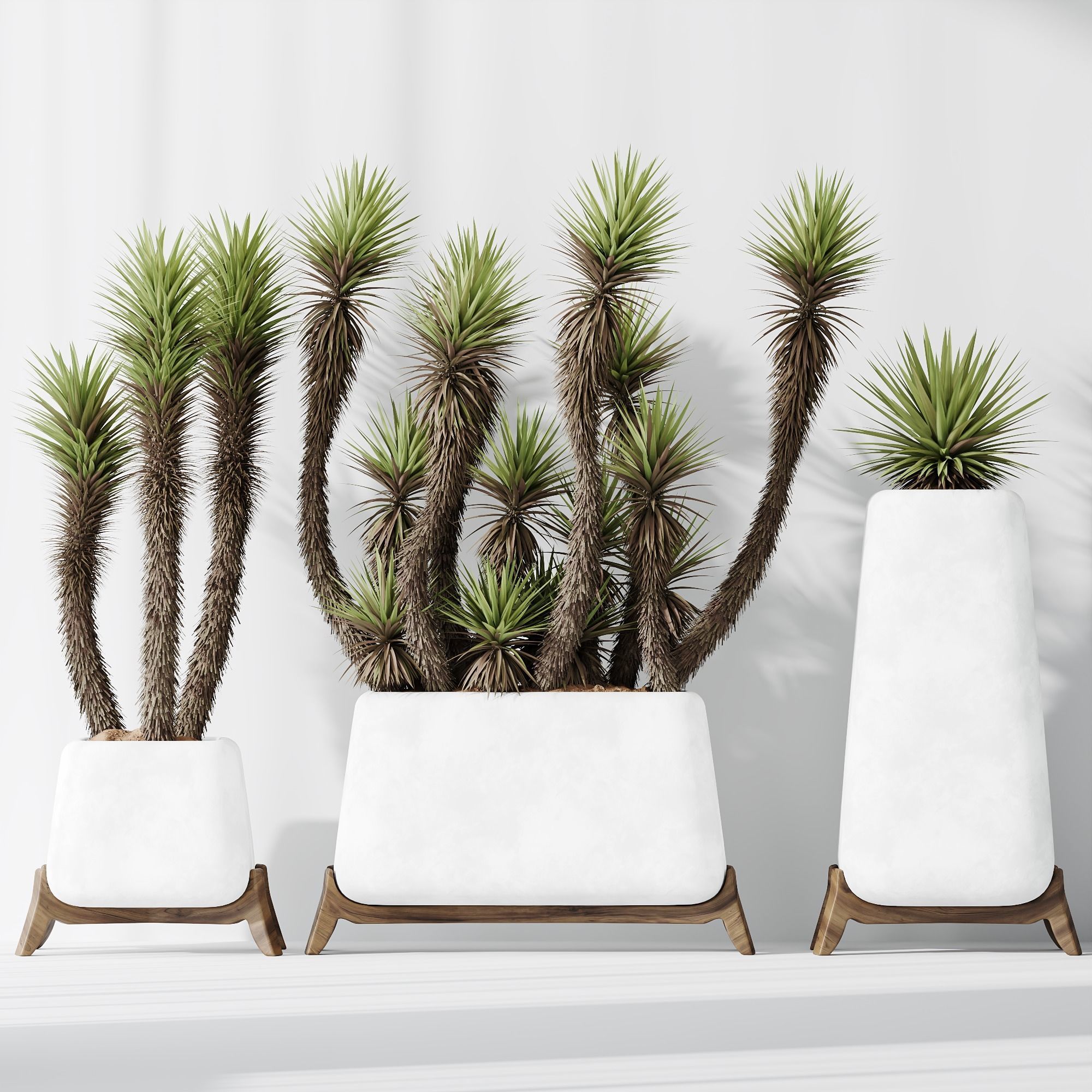 HQ Plants Yucca Elephantipes Valida Vase Set01 3D model_4