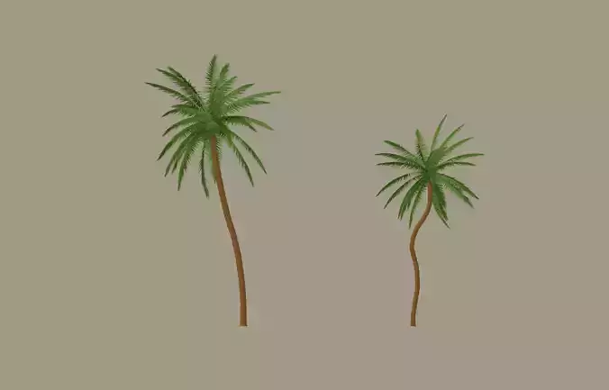 Palm Tree 3D model