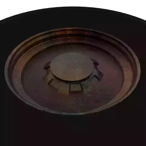 Rusty Tire 3D model