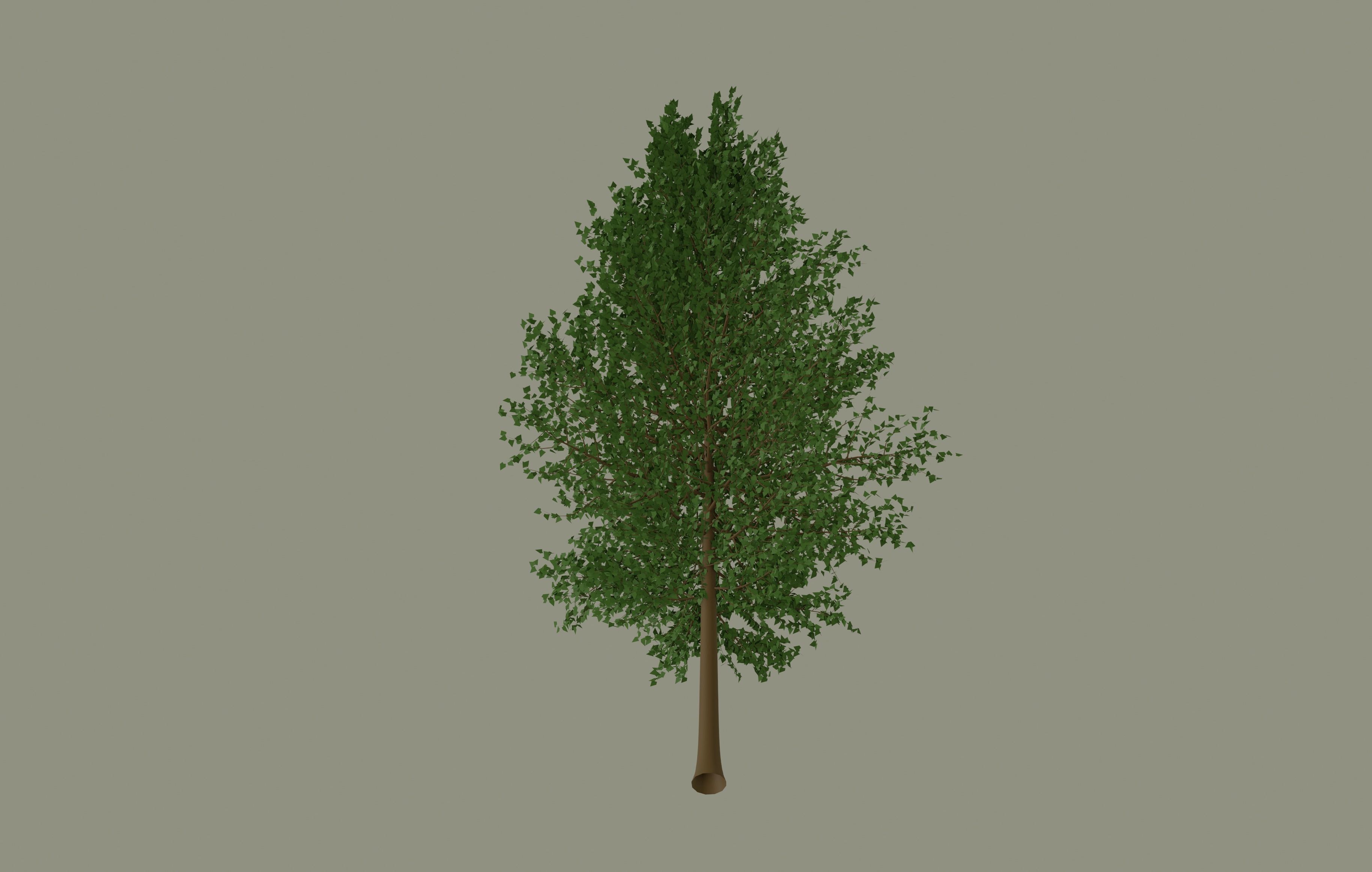 Tree model 3D model_4
