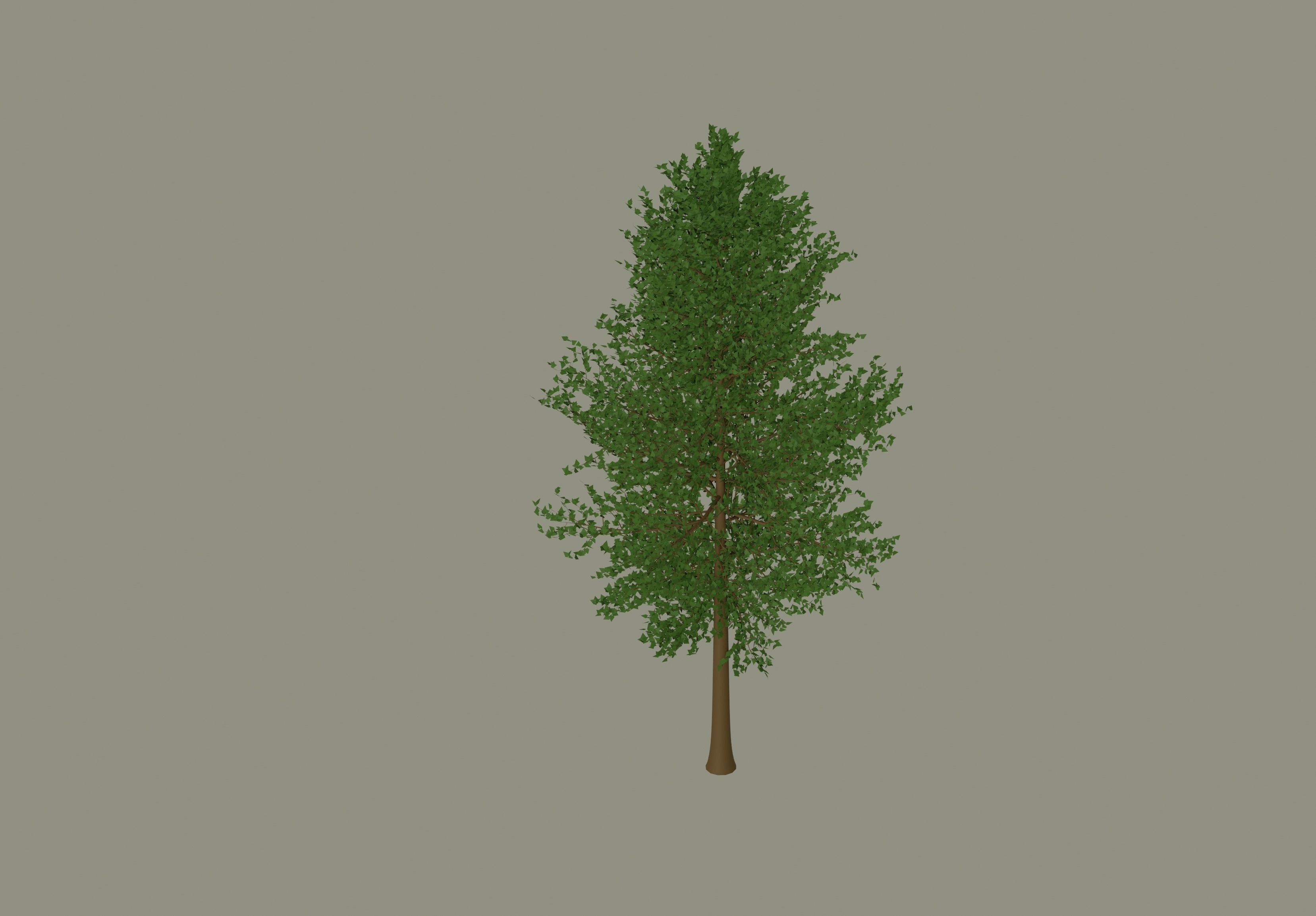 Tree model 3D model_2