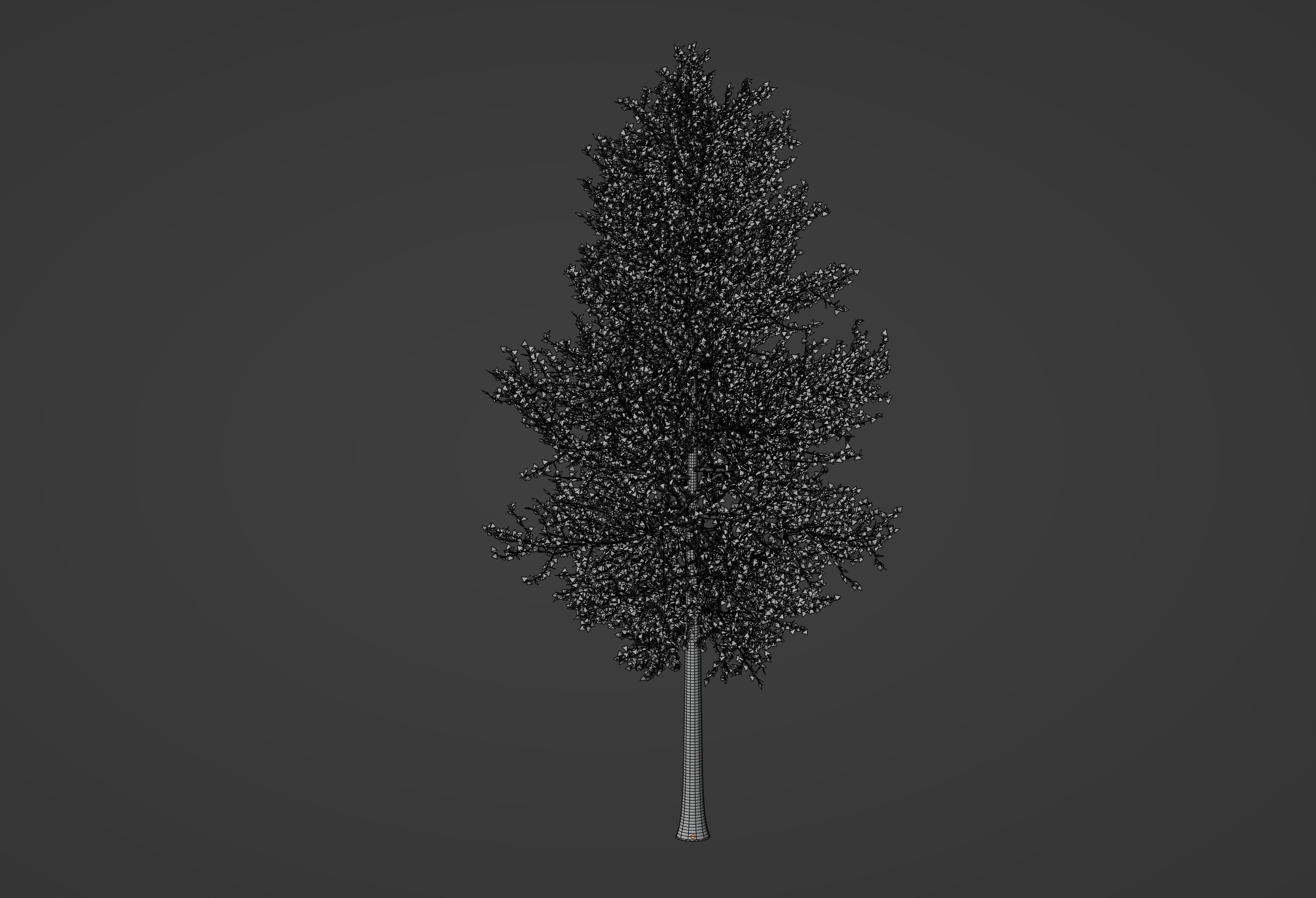 Tree model 3D model_12