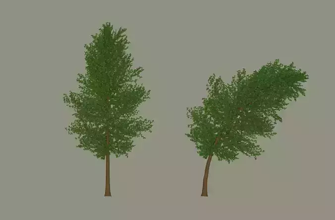 Tree model 3D model