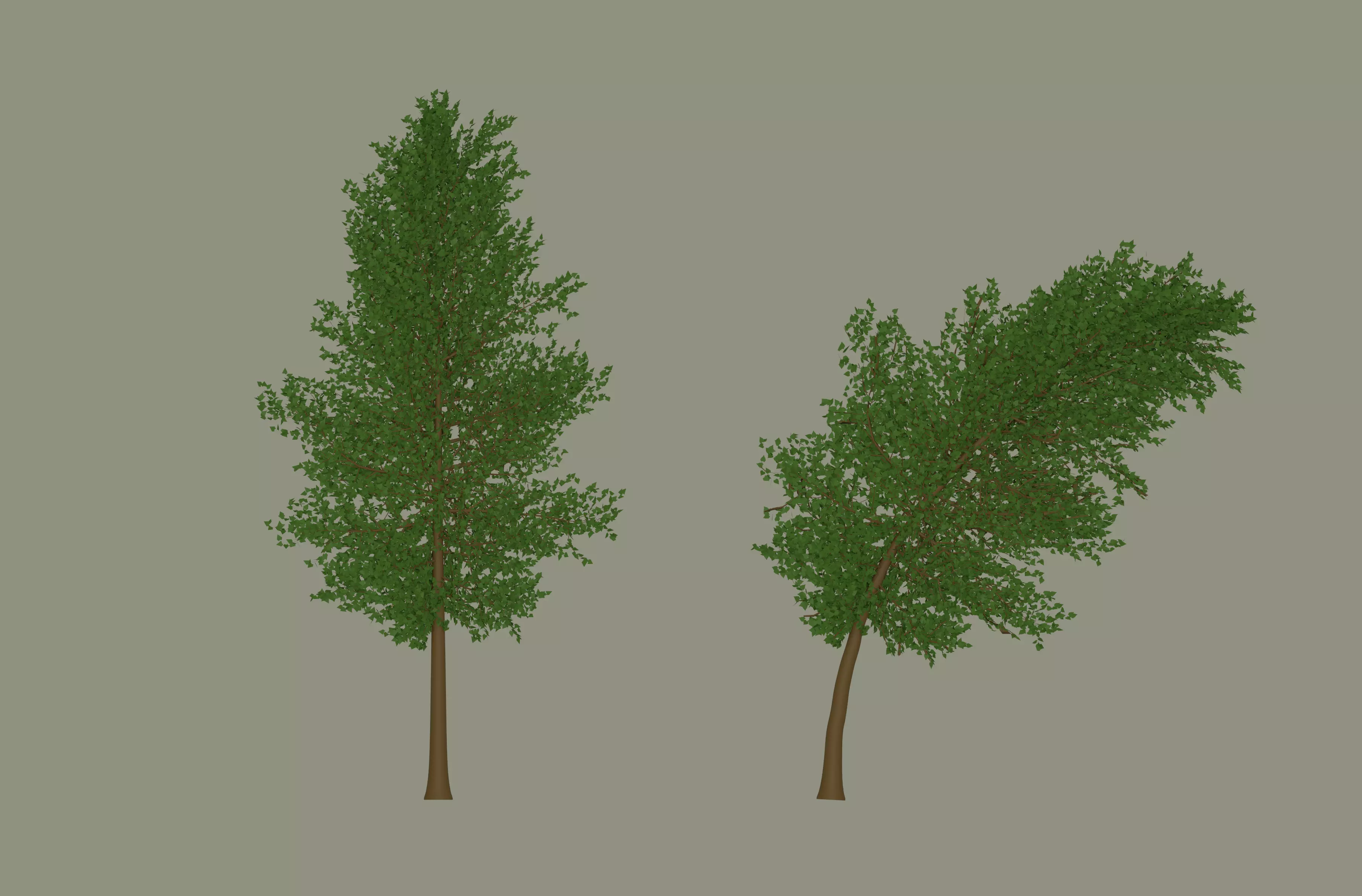 Tree model 3D model_0
