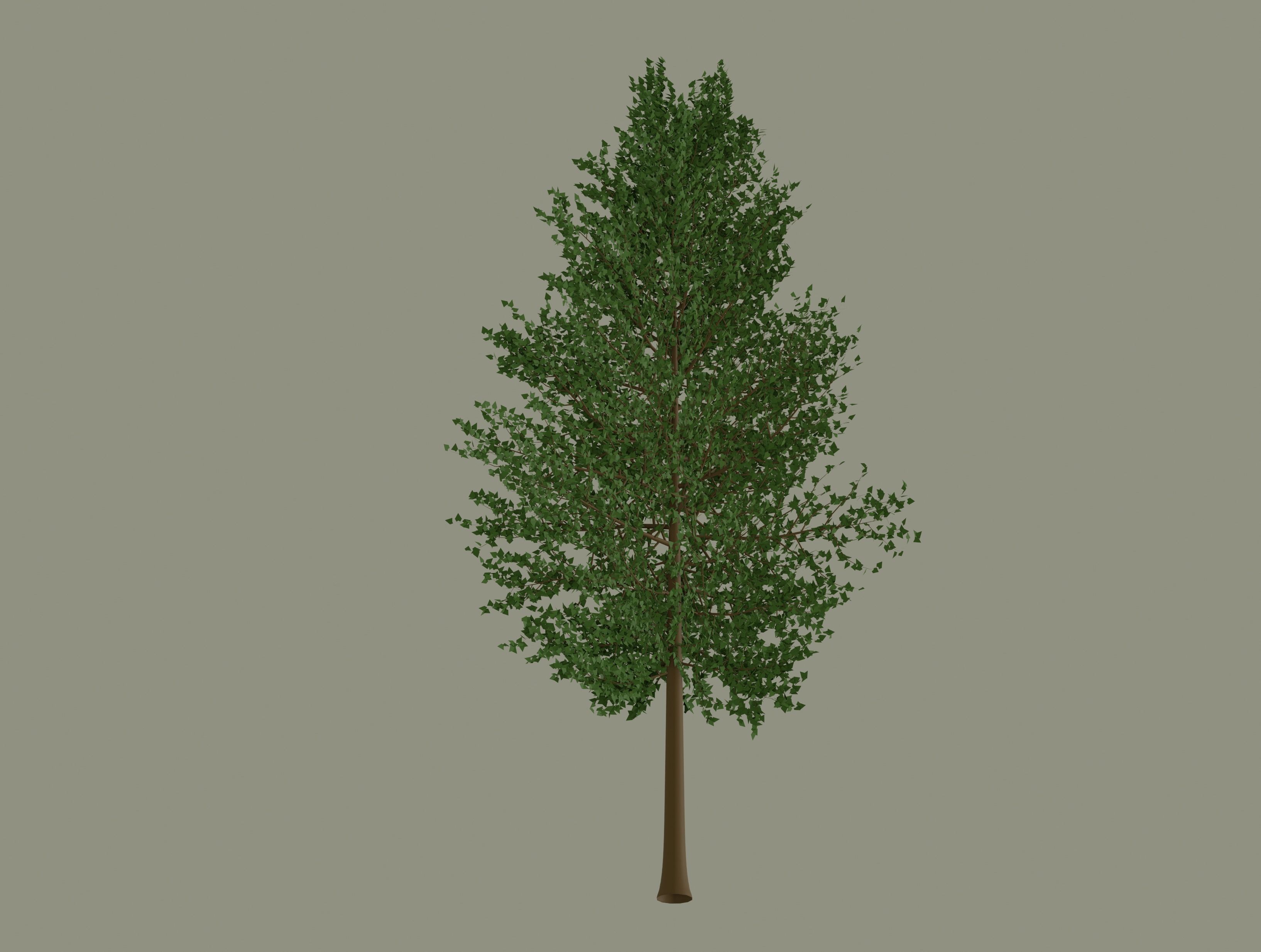 Tree model 3D model_6