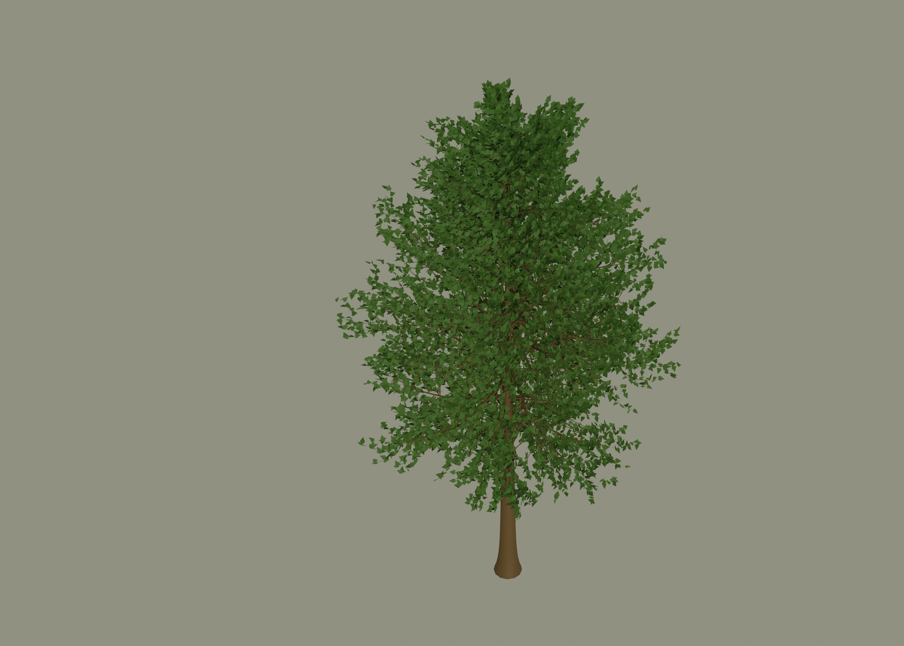 Tree model 3D model_5