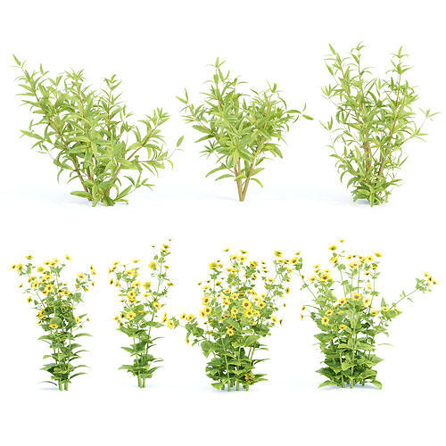 Plants collection vol 300 3D Model Pack 4