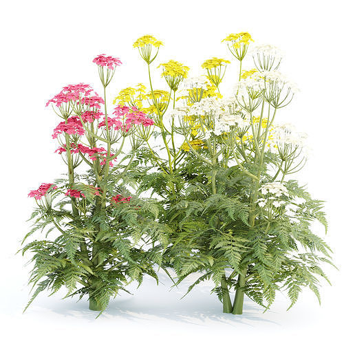 Plants collection vol 300 3D Model Pack 5