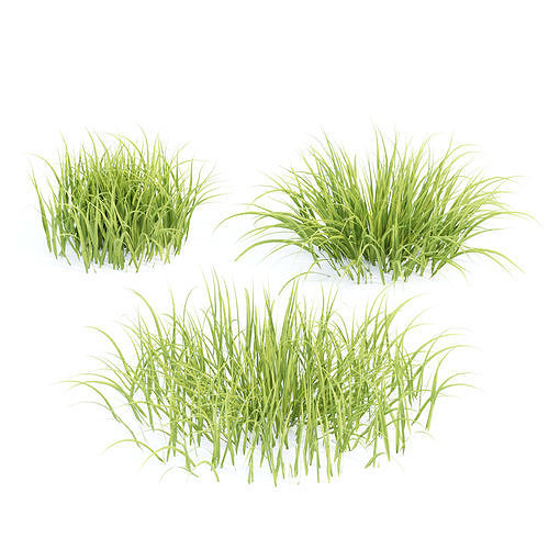 Plants collection vol 300 3D Model Pack 6