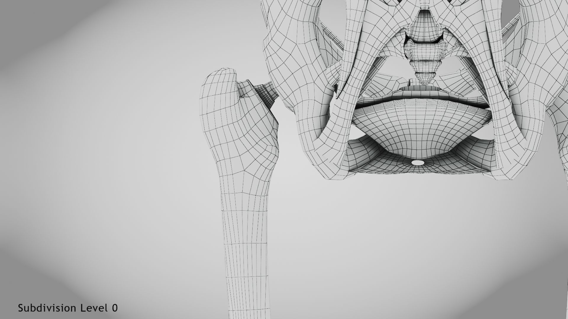 Replaced Hip Implant Low-poly 3D model_57
