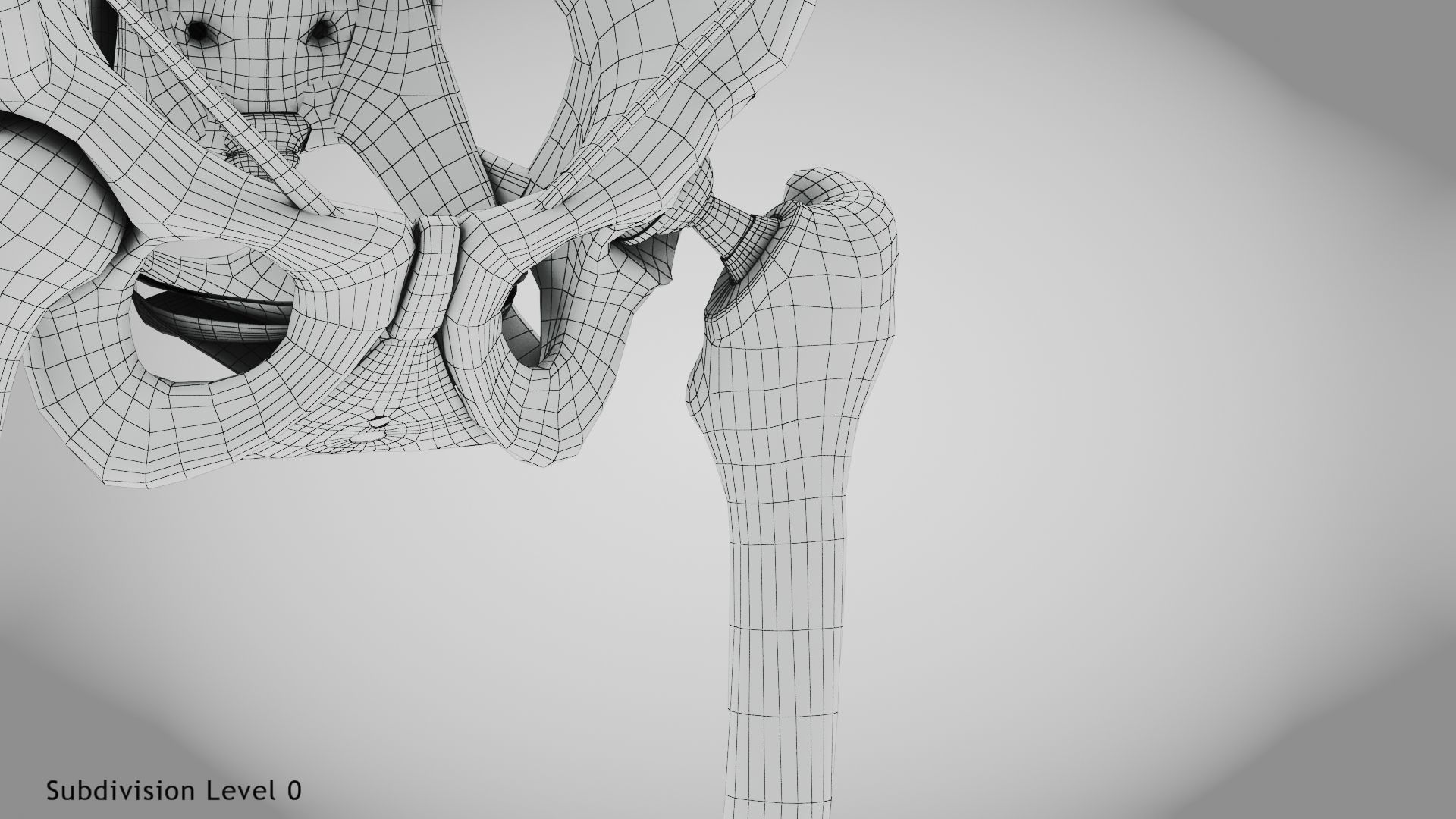 Replaced Hip Implant Low-poly 3D model_35