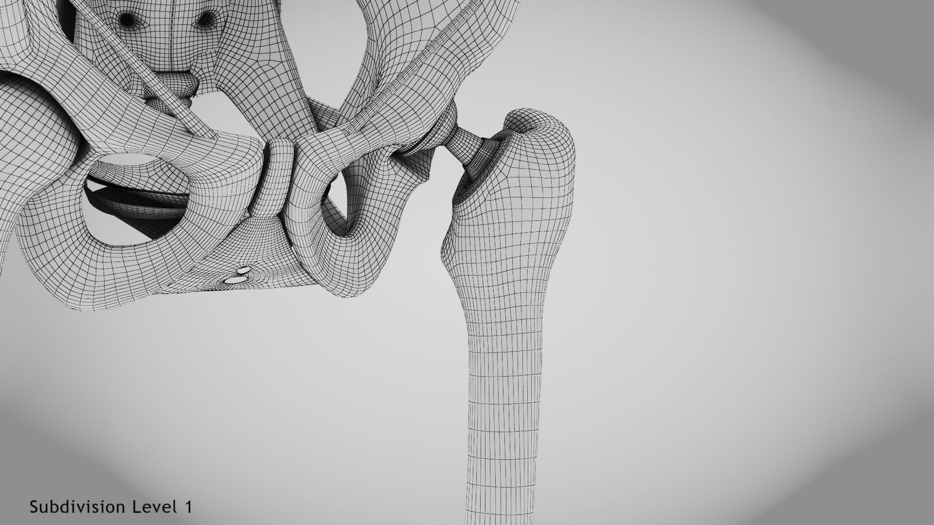 Replaced Hip Implant Low-poly 3D model_36