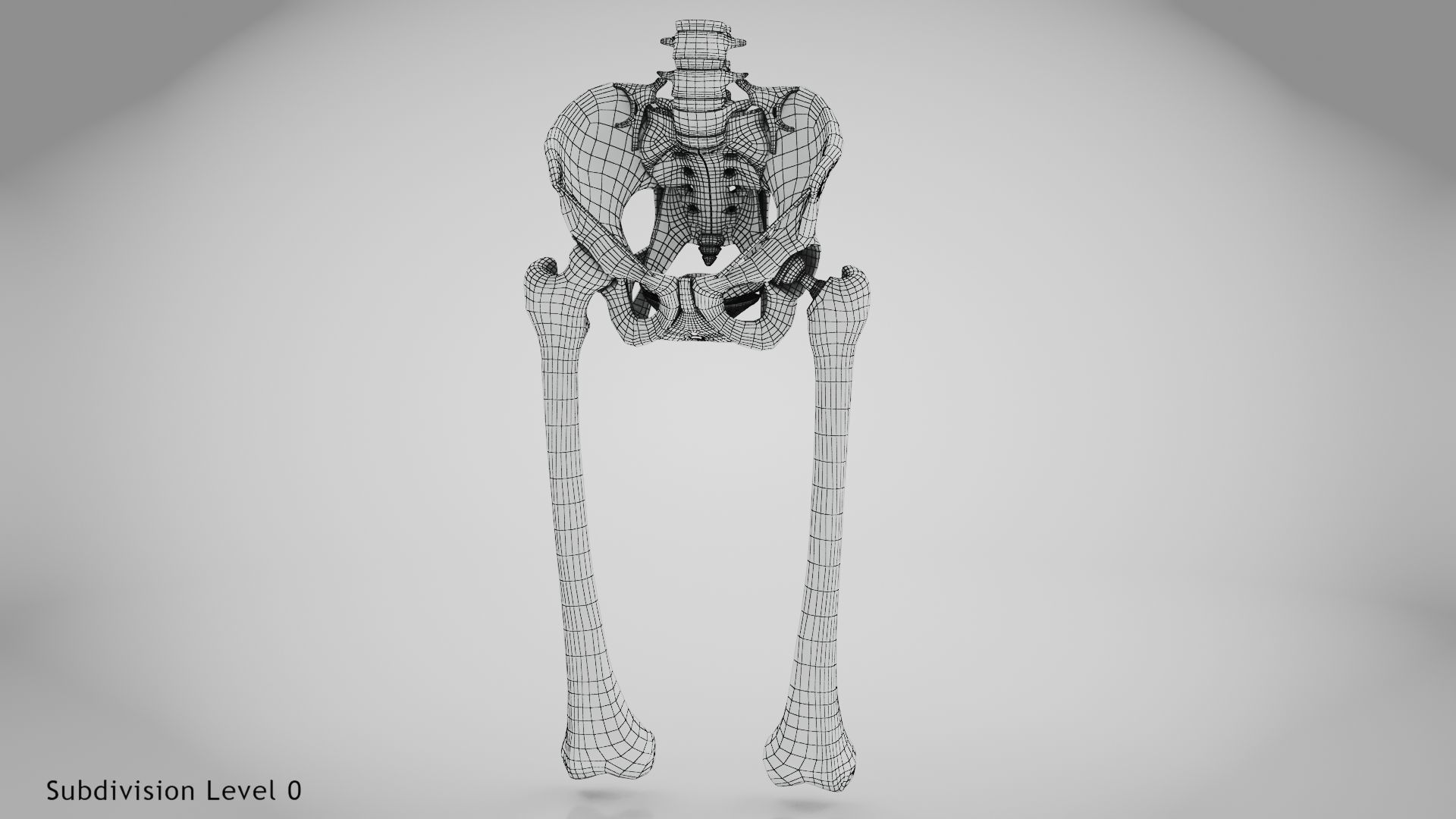 Replaced Hip Implant Low-poly 3D model_44