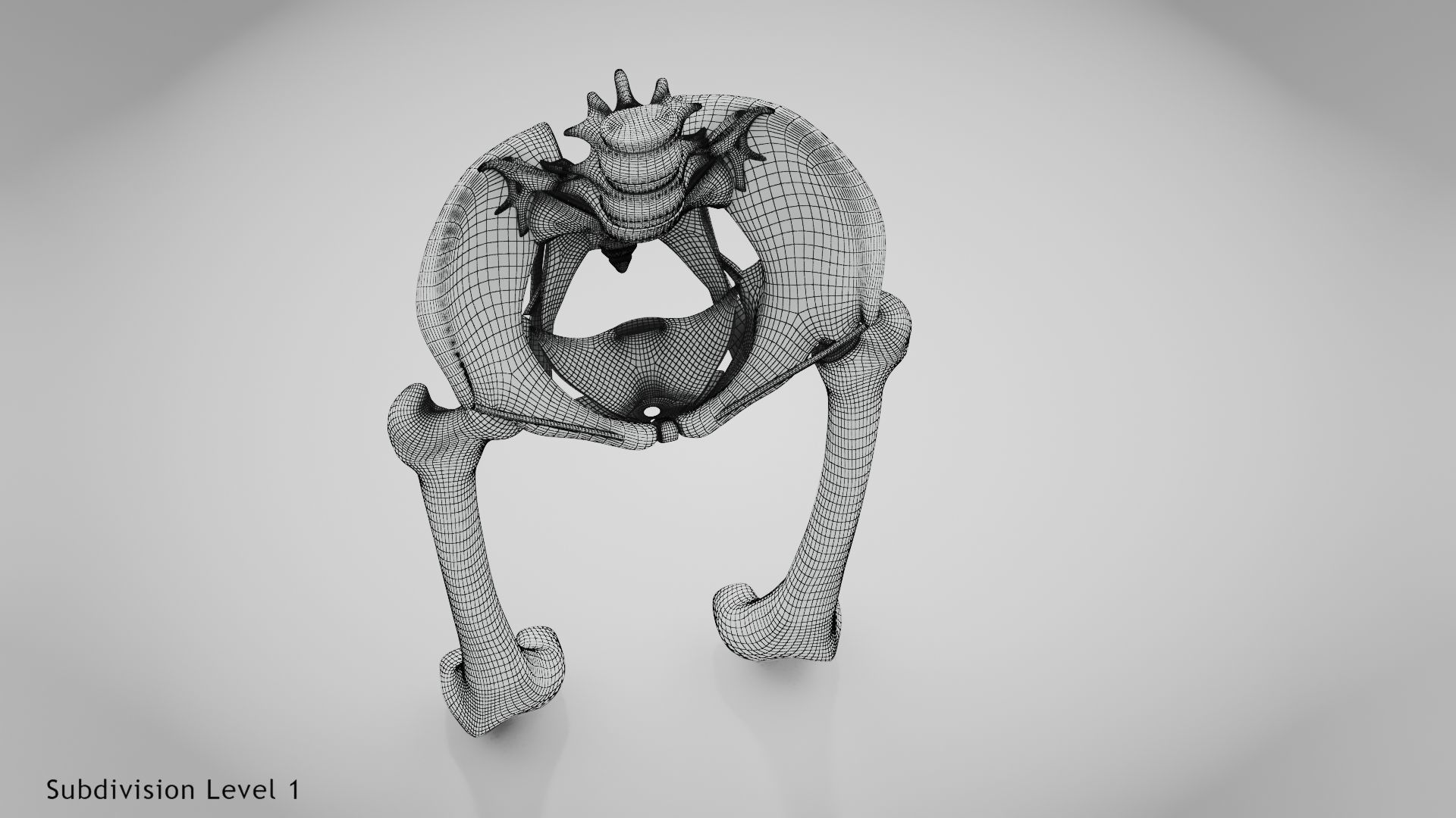 Replaced Hip Implant Low-poly 3D model_53