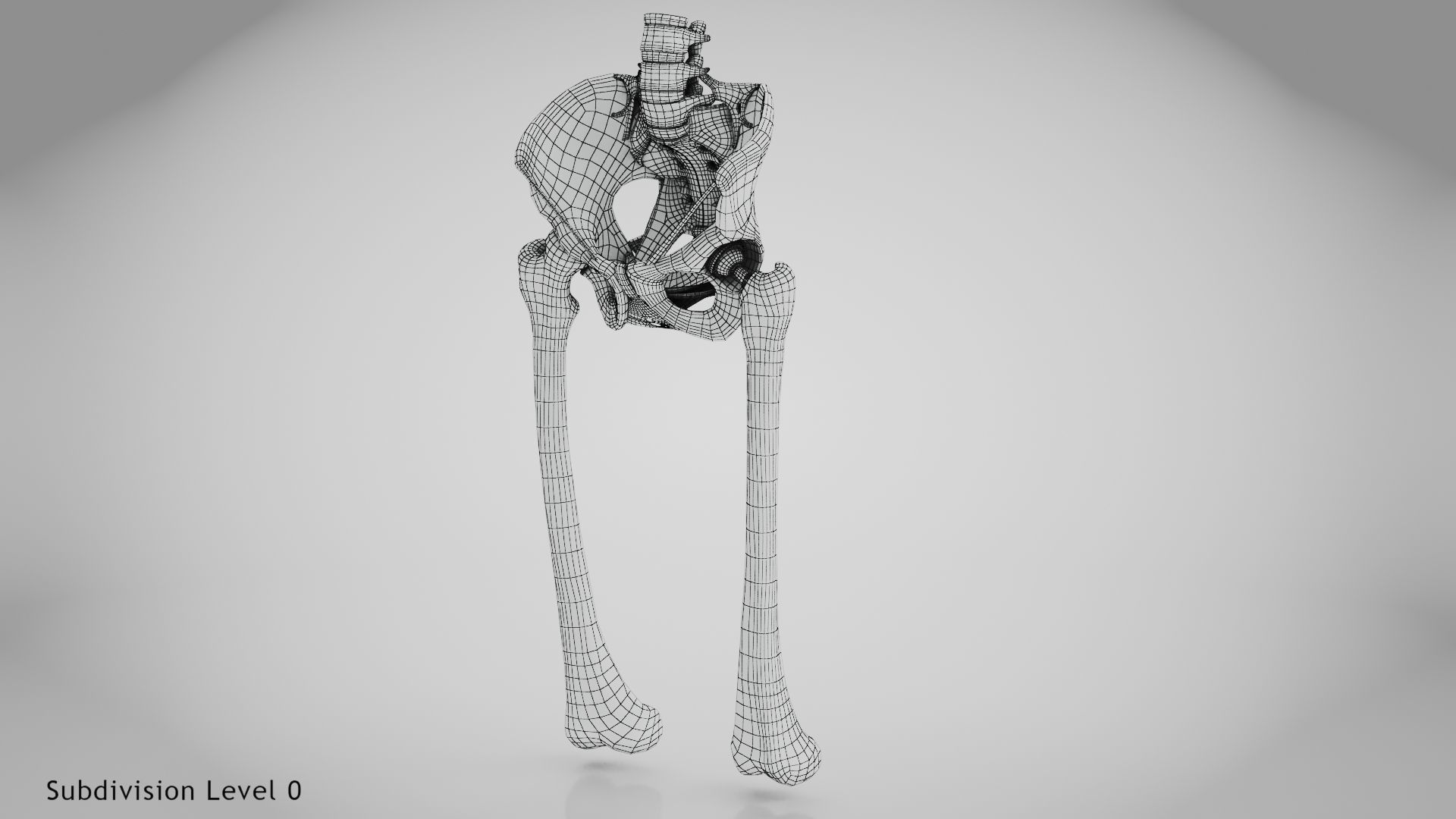 Replaced Hip Implant Low-poly 3D model_42