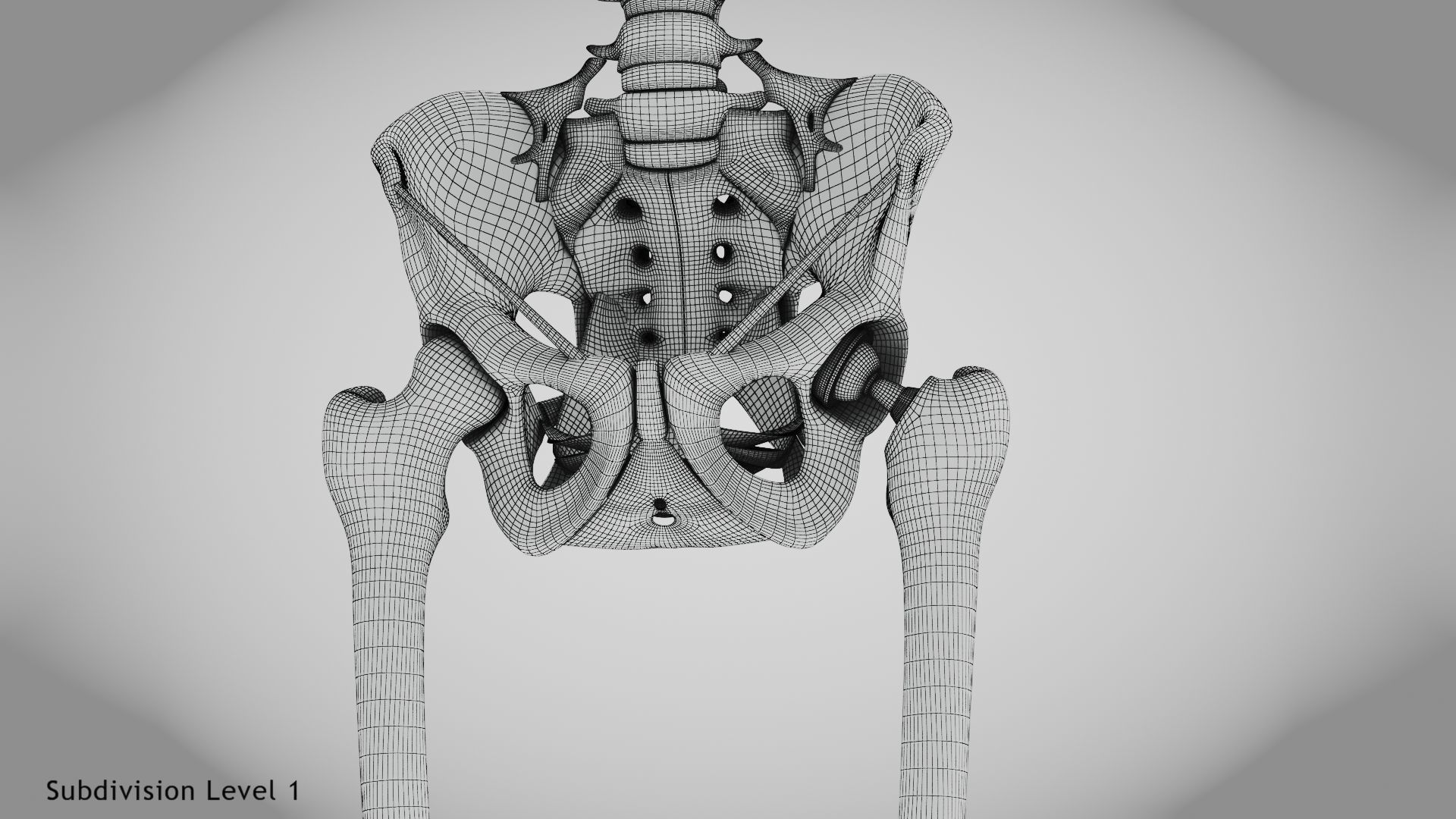 Replaced Hip Implant Low-poly 3D model_40