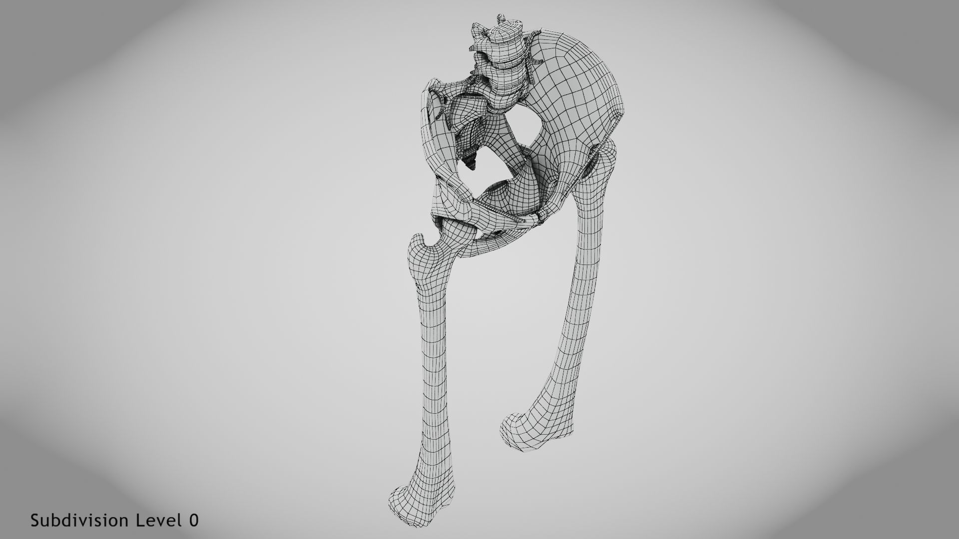 Replaced Hip Implant Low-poly 3D model_15