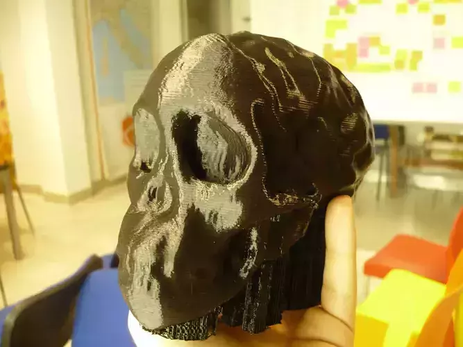 Taung Child prehistoric skull Free 3D print model