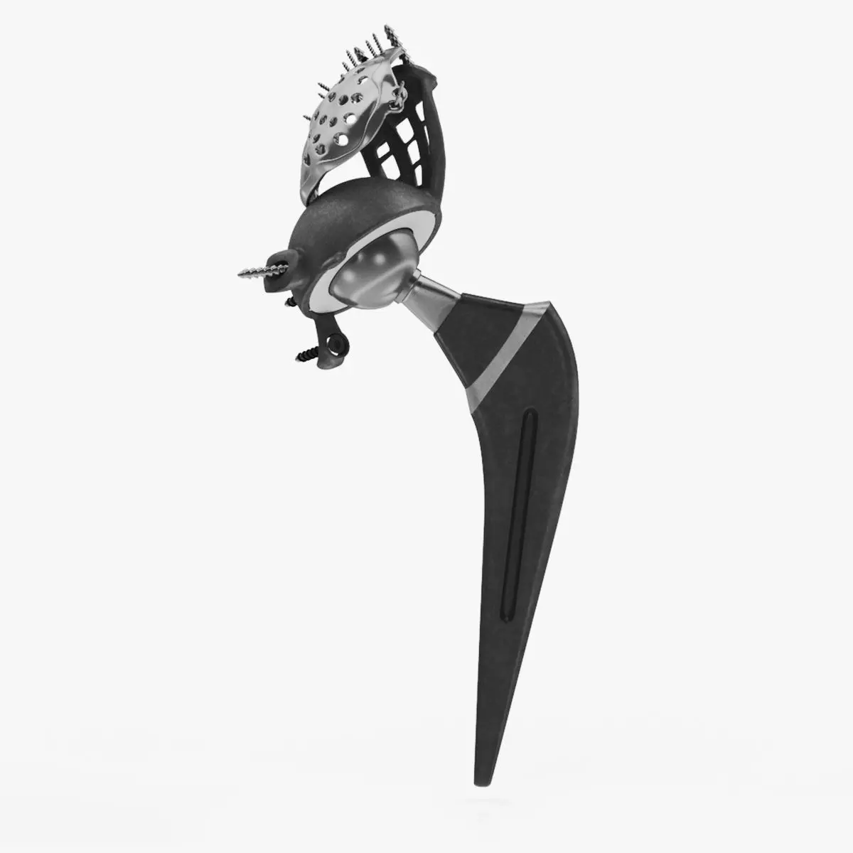 Pelvic Implant 3D model