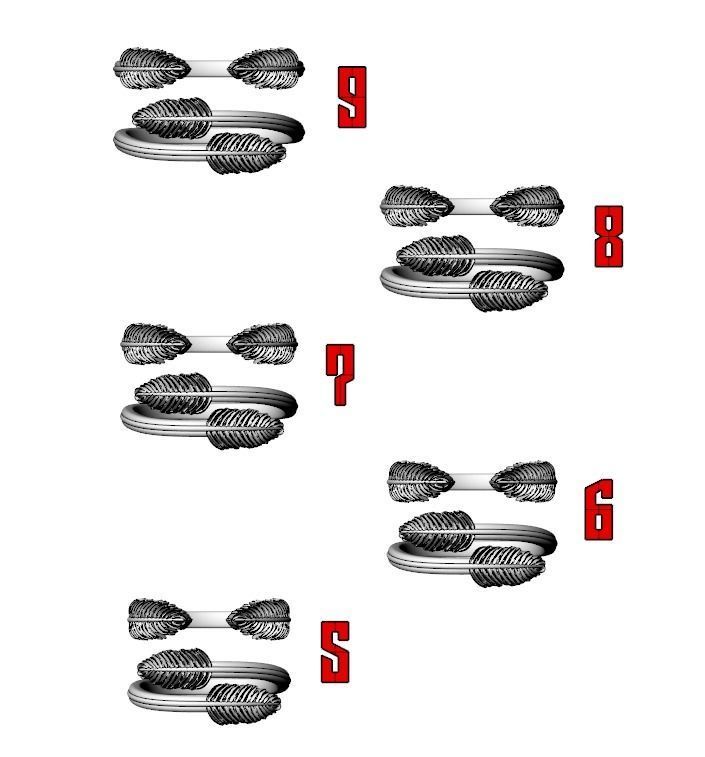 Delicate rings with wings two options 786 3D print model_10