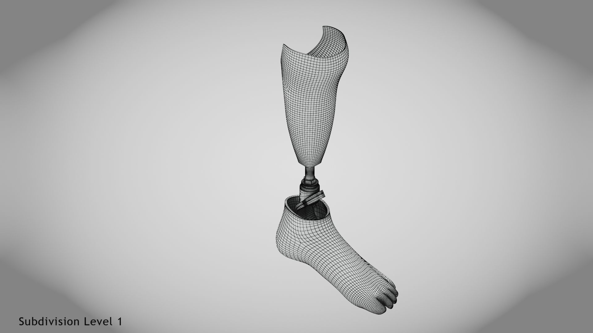 Below knee prosthetics 2 Low-poly 3D model_21