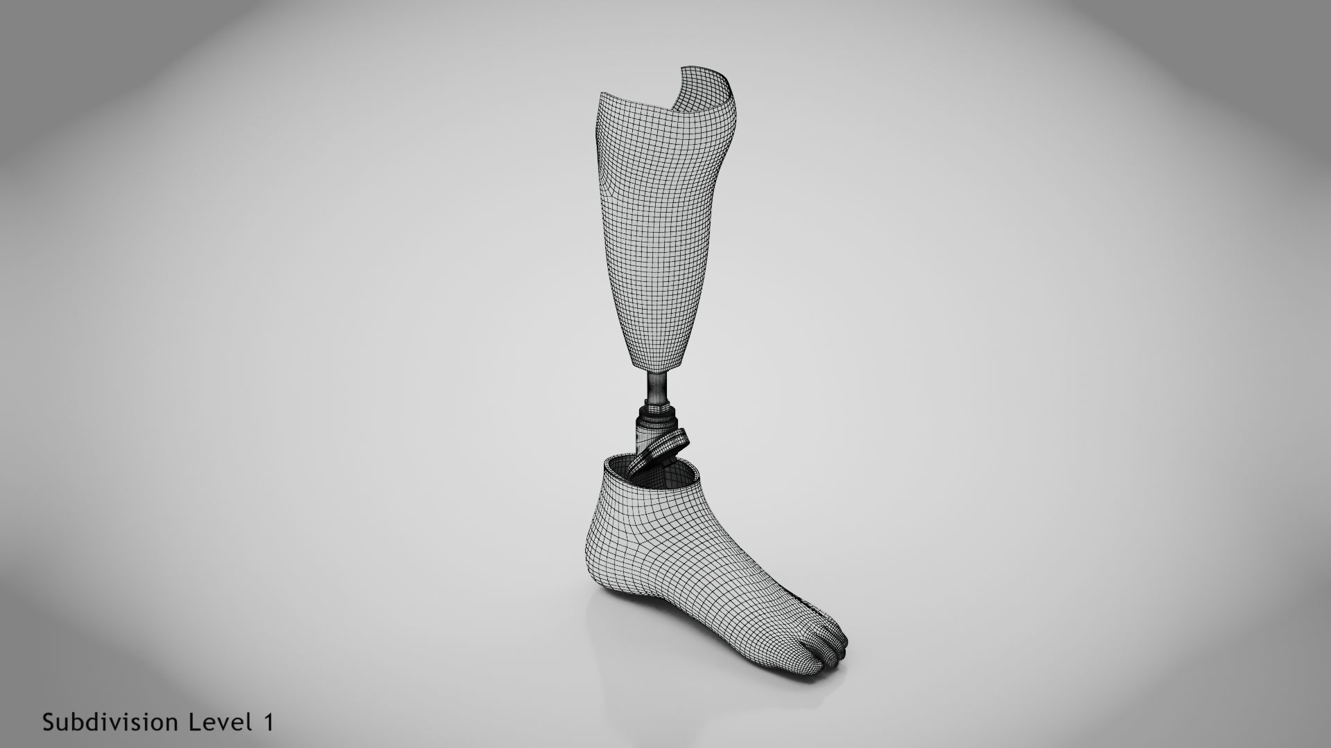 Below knee prosthetics 2 Low-poly 3D model_12