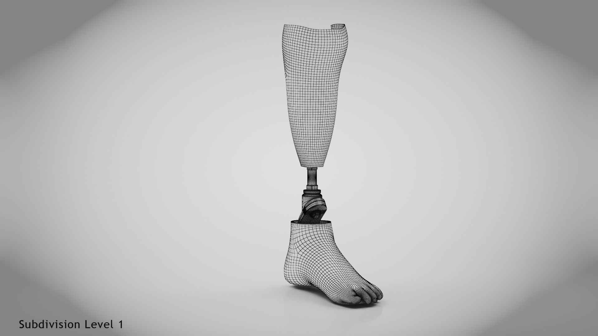 Below knee prosthetics 2 Low-poly 3D model_22