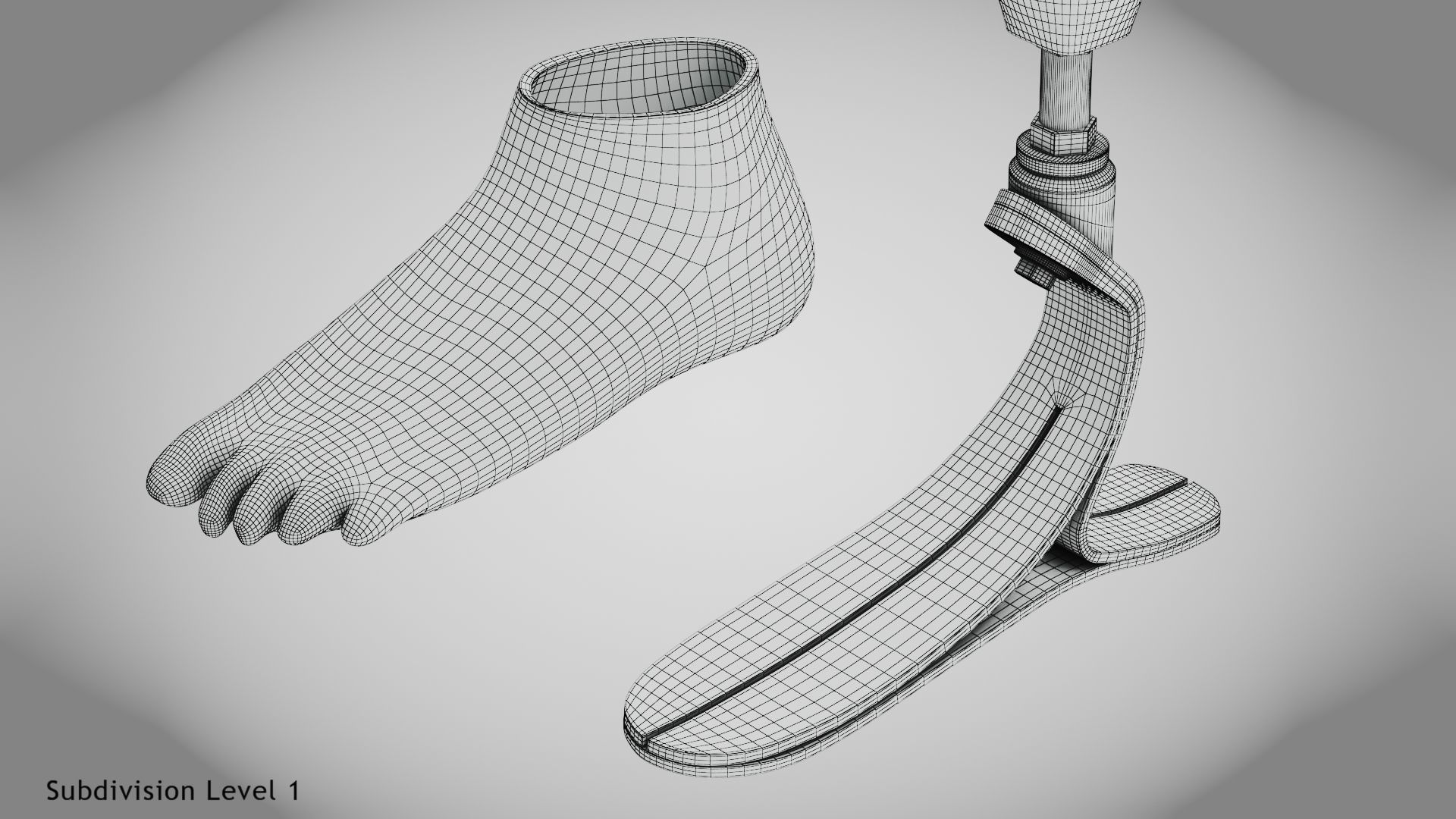 Below knee prosthetics 2 Low-poly 3D model_27
