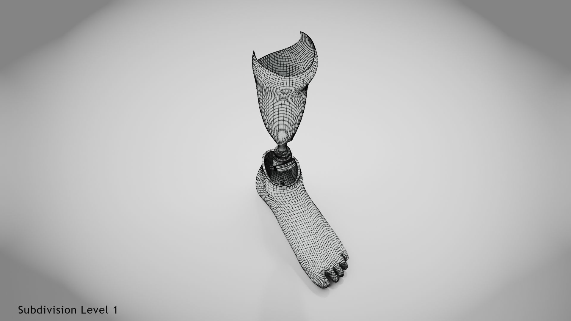 Below knee prosthetics 2 Low-poly 3D model_31