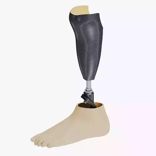 Below knee prosthetics 2