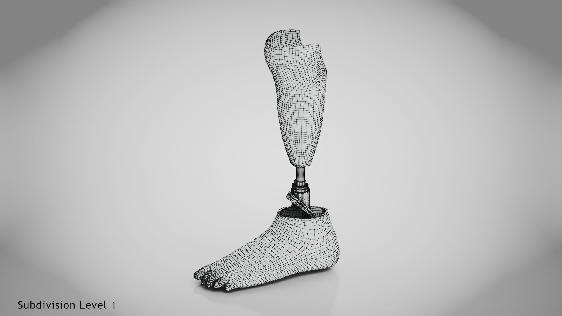 Below knee prosthetics 2 Low-poly 3D model_14