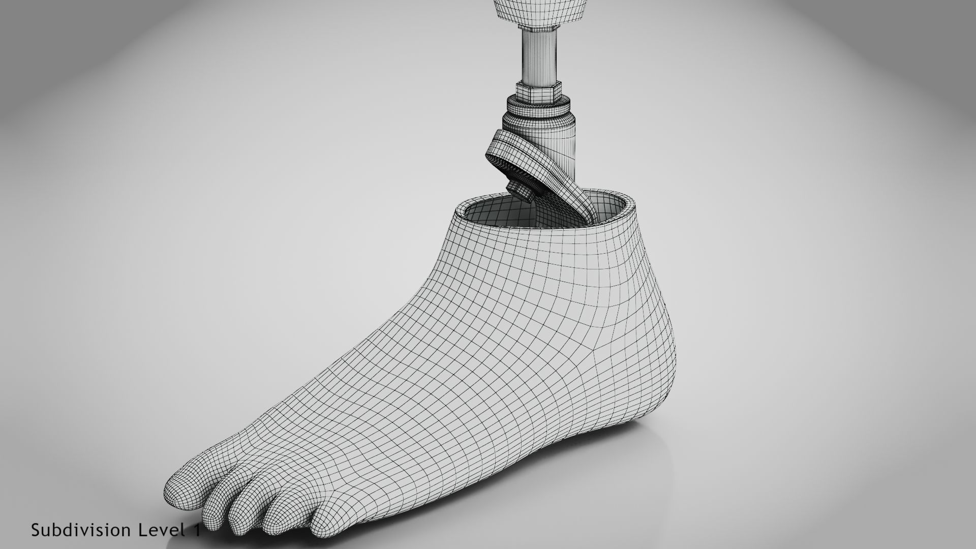 Below knee prosthetics 2 Low-poly 3D model_24