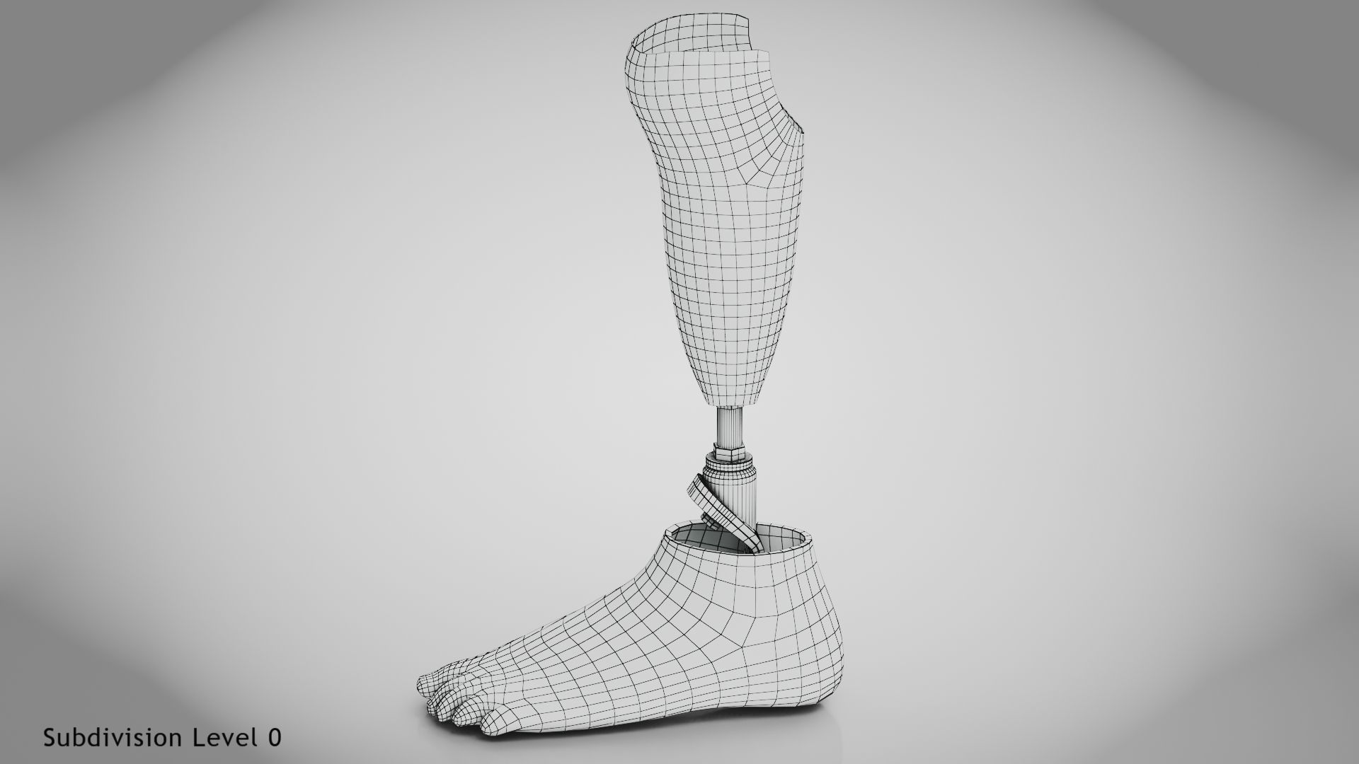 Below knee prosthetics 2 Low-poly 3D model_10