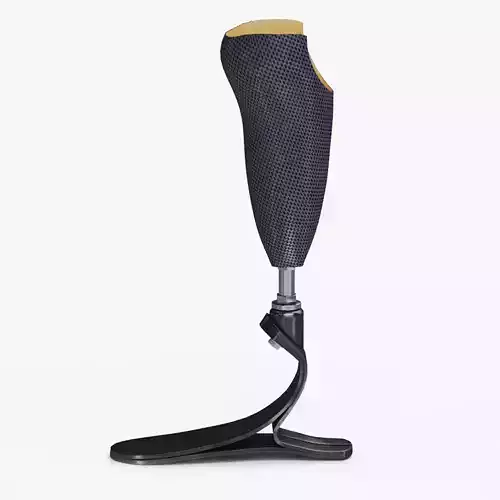 Below knee prosthetics 1