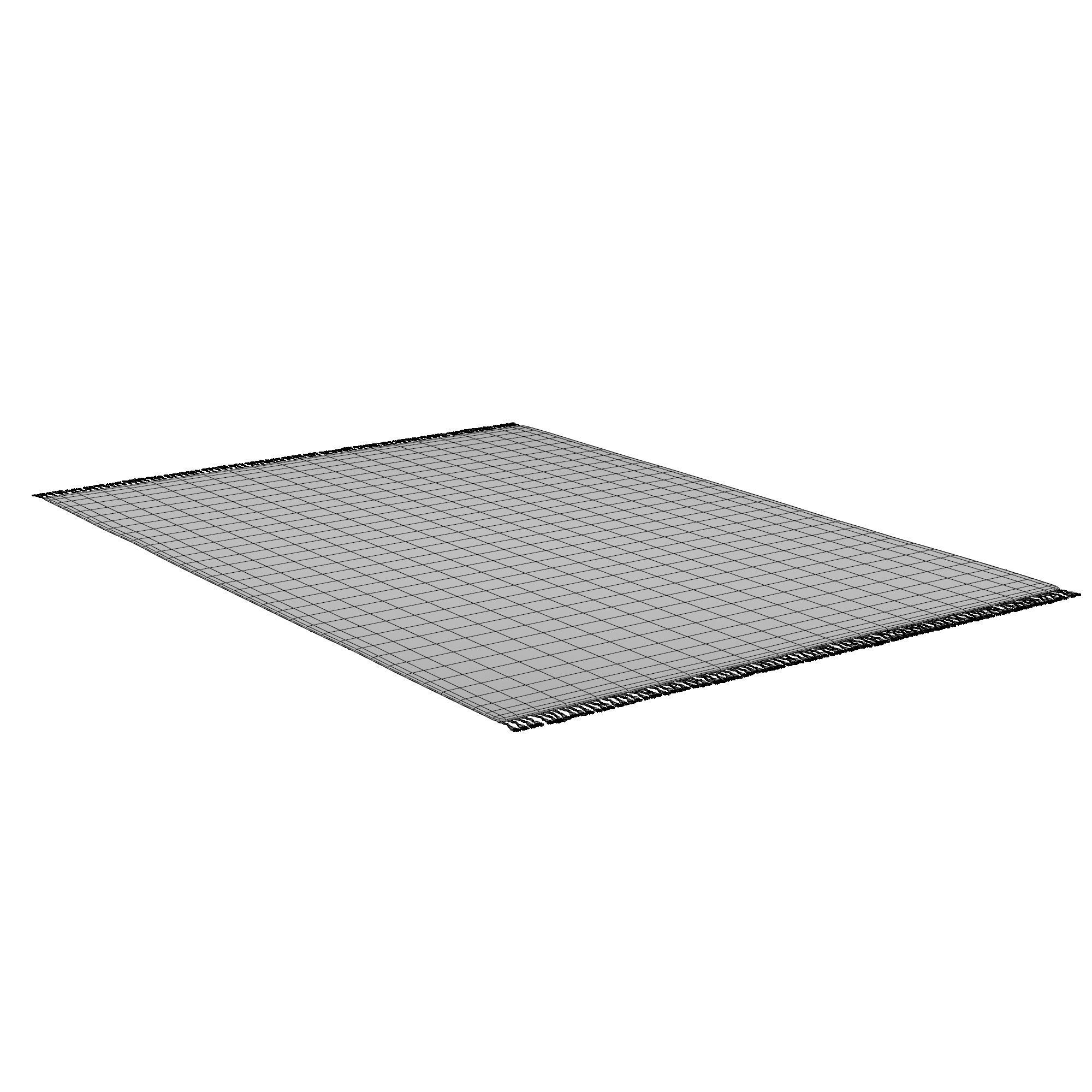 CABILA WOOL RUG 3D model_5