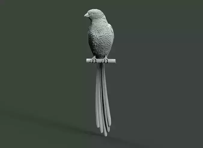 bird 07