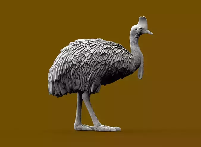 Cassowary 3D print model