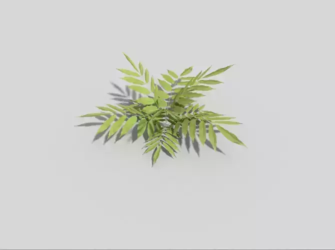 Low poly Plant