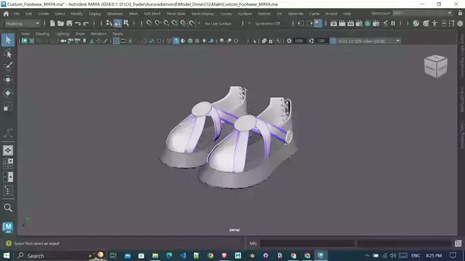 Custom Concept Footwear 3d printing ready Design for male 3D print model