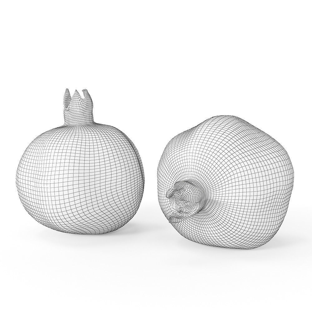 Pomegranate 3D model_12