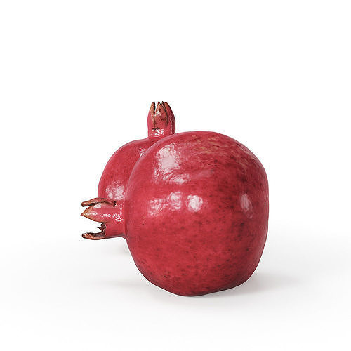 Pomegranate 3D model 5
