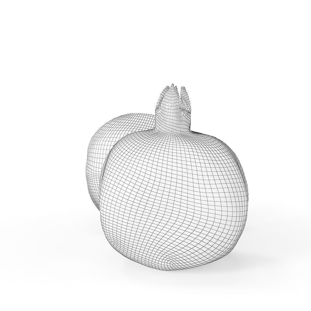 Pomegranate 3D model_8