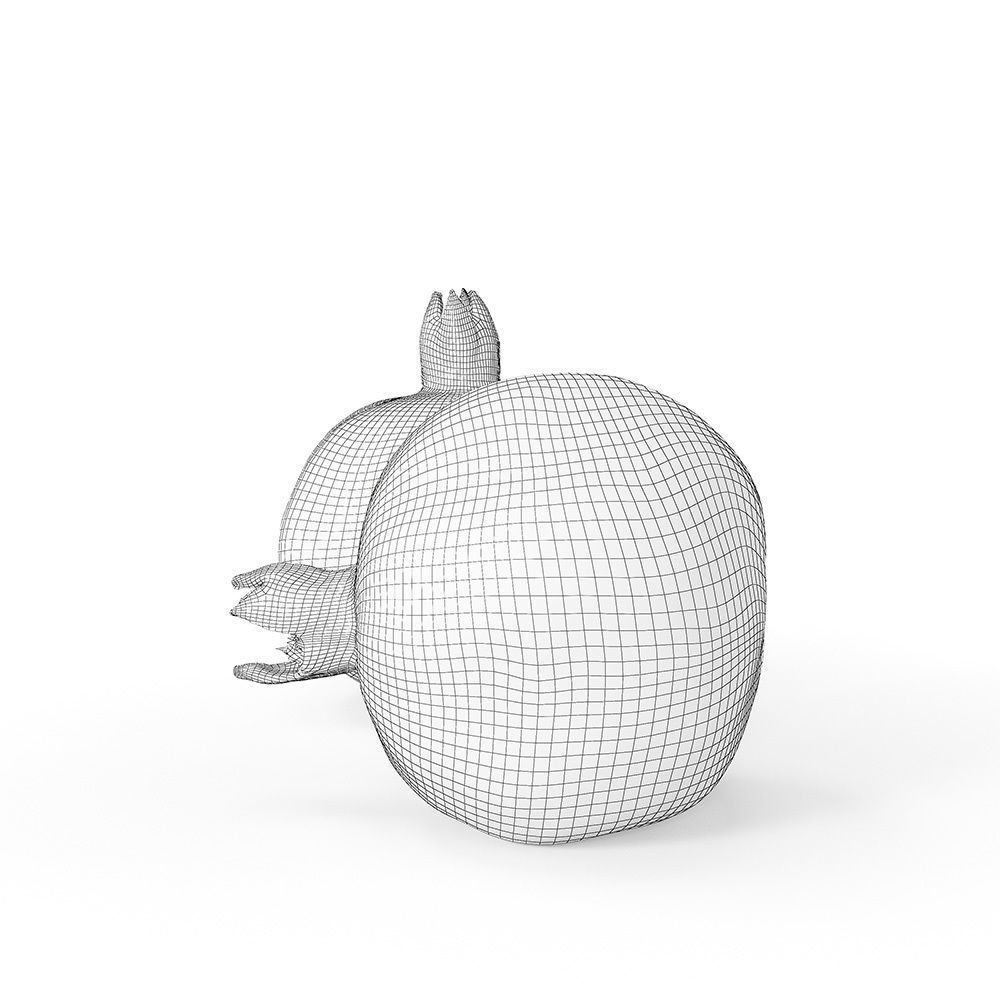 Pomegranate 3D model_11