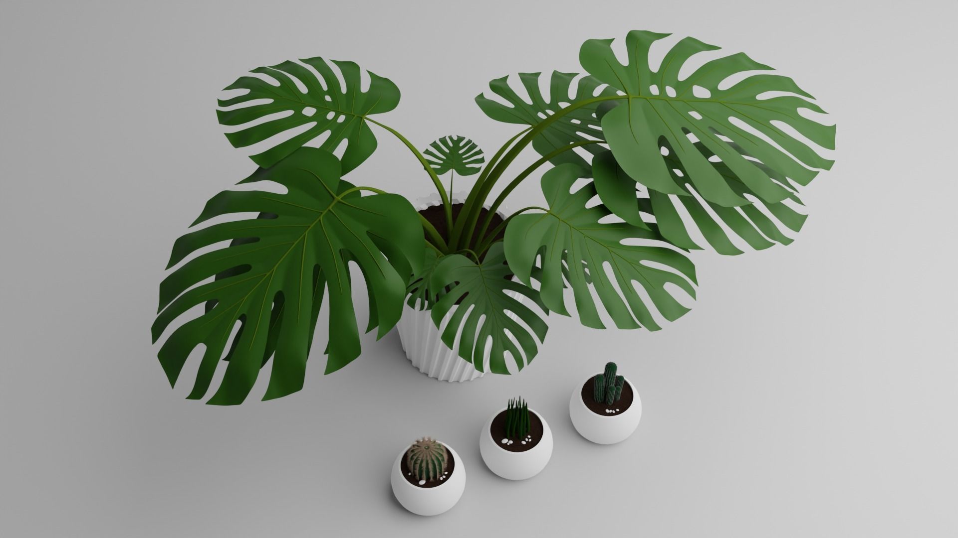 Monstera Plant 3D model_7