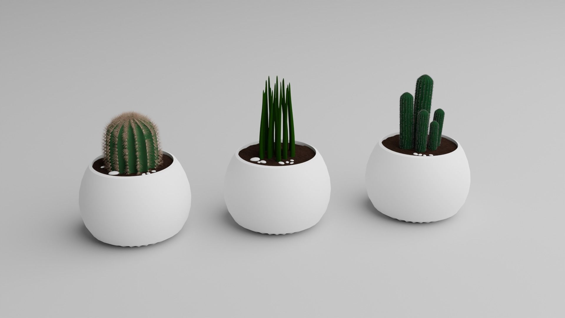 Monstera Plant 3D model_5