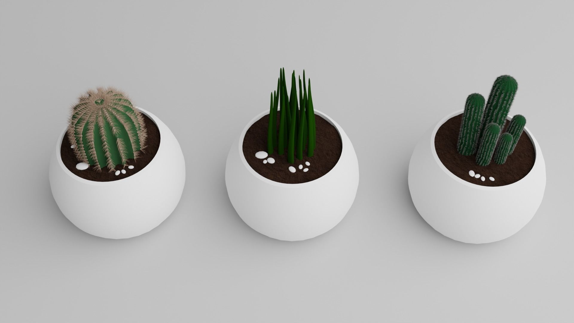 Monstera Plant 3D model_8