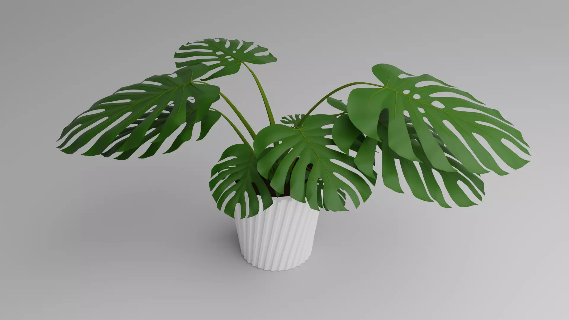 Monstera Plant 3D model_0