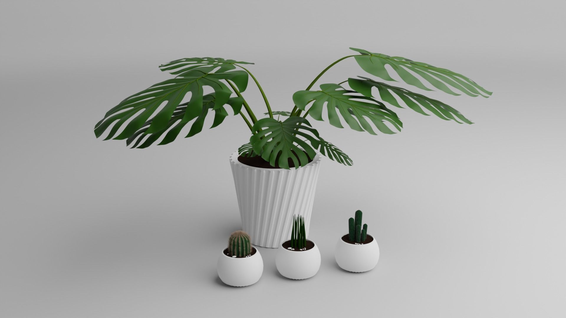 Monstera Plant 3D model_6