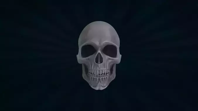 SKUL-002 Rigged Skull Head